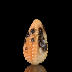 籽料和田白玉多子多福吊坠