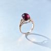 卢比来戒指-红掌柜