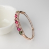 碧玺手镯-红掌柜