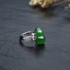 金镶钻糯冰种深绿翡翠葫芦戒指-红掌柜