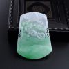 缅甸天然糯冰种飘绿翡翠古龙牌吊坠-红掌柜