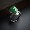 满绿翡 - 红掌柜珠宝