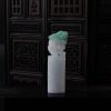 缅甸糯种淡春带彩翡翠貔貅印章-红掌柜