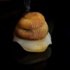 天然和田玉蜗牛吊坠-红掌柜