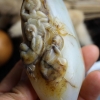天然和田玉三不猴手把件-红掌柜