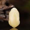 山料和田白玉貔貅吊坠-红掌柜