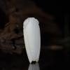 新疆天然籽料和田白玉吊坠-红掌柜