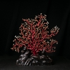 红珊瑚原枝摆件-红掌柜