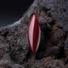 日本天然阿卡黑红珊瑚戒面-红掌柜