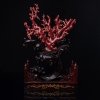 阿卡珊瑚原枝摆件-红掌柜