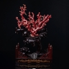 日本阿卡珊瑚摆件-红掌柜