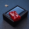 天然阿卡牛血红珊瑚戒面-红掌柜