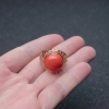 台湾MOMO珊瑚戒指-红掌柜
