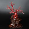 阿卡珊瑚树枝摆件-红掌柜