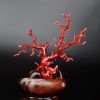 珊瑚树枝-红掌柜