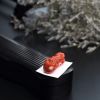 台湾天然MOMO红珊瑚吊坠 - 红掌柜