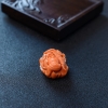 MOMO红珊瑚花开富贵吊坠 - 红掌柜