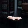 天然珊瑚花吊坠-红掌柜