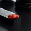 阿卡珊瑚-红掌柜