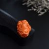 MOMO红珊瑚貔貅吊坠-红掌柜
