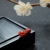 天然阿卡珊瑚貔貅吊坠 - 红掌柜
