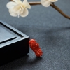 日本阿卡珊瑚貔貅 - 红掌柜