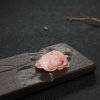 深水粉色珊瑚牡丹花-红掌柜