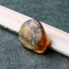 缅甸天然虫珀挂件-红掌柜