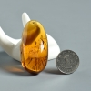 缅甸天然棕珀随形吊坠-红掌柜
