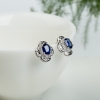 天然蓝宝石耳钉-红掌柜