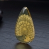 天然蓝珀孔雀开屏吊坠-红掌柜