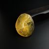 波罗的海天然金包蜜鸡油黄蜜蜡鱼吊坠-红掌柜