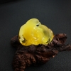 波罗的海天然鸡油黄蜜蜡海豚摆件-红掌柜