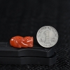 四川天然南红貔貅吊坠-红掌柜