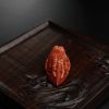 天然川料南红龙头吊坠-红掌柜