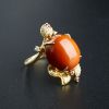 满肉柿子红戒指-红掌柜