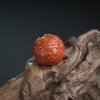 天然火焰纹南红龙头圆珠-红掌柜