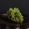 磷绿铅矿摆件 - 红掌柜